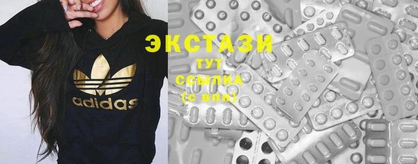 таблы Гусев