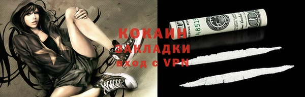 таблы Гусев