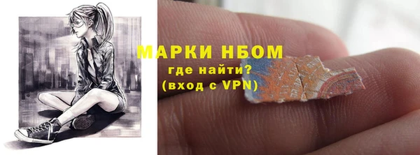 таблы Гусев