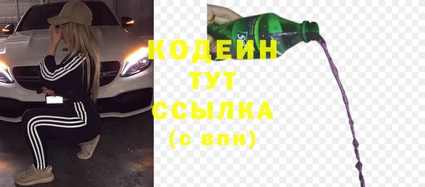 таблы Гусев