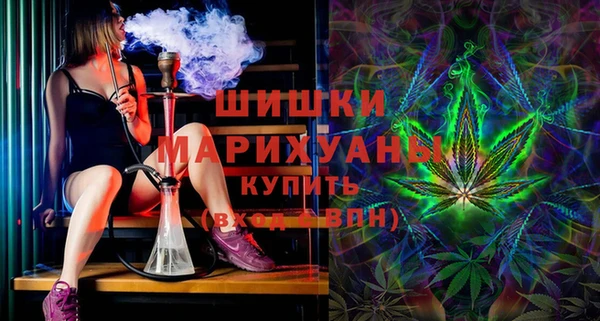 таблы Гусев