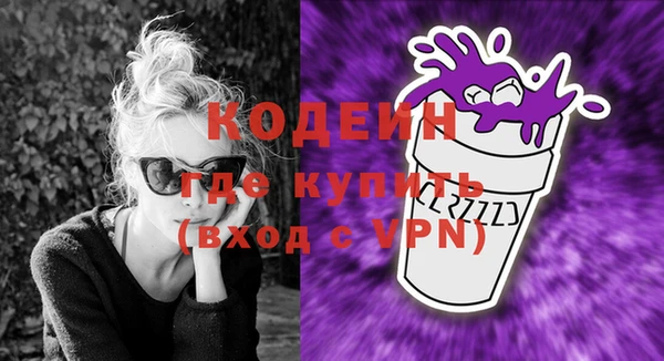 таблы Гусев