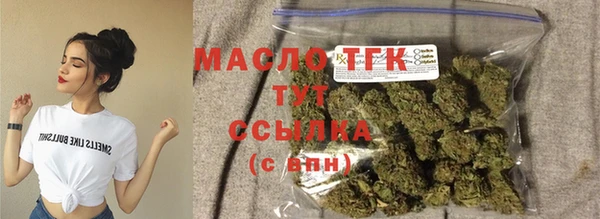 таблы Гусев