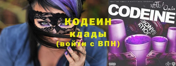 таблы Гусев