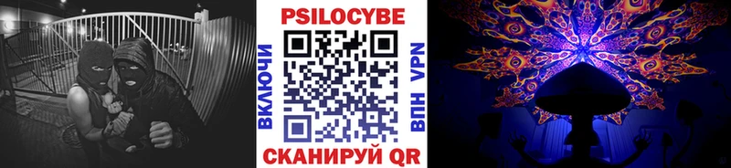 Галлюциногенные грибы Psilocybine cubensis  магазин    Кушва 